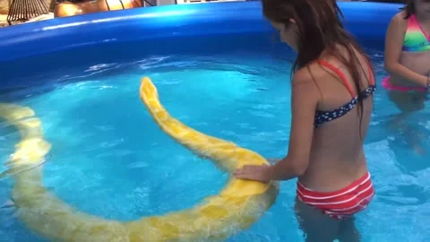 Girl Swims with Huge Burmese Python - 15 Jul 2013 Video stock 205316325