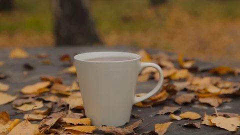 Girl take a Cup of tea from the table with leaves Stock-Footage 81566720