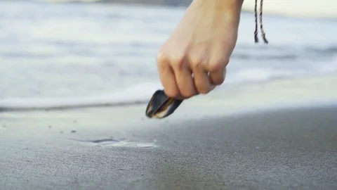 A girl taking a seashell on the beach Stock Footage 103434002