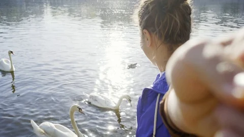 Girl taking selfie by the river while feeding swans in water Video stock 117177562