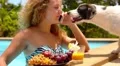 Girl Talking Cell Phone and Stroking her Dog at Swimming Pool. HD Footage