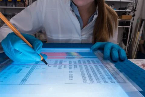 Girl technician works with the genetic code Stock Photos