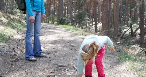Girl throwing pine cones next to woman in the countryside Stock Footage 115988579