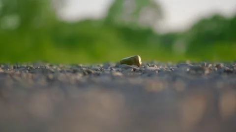 Girl is Throwing a Stone Stock Footage 50279349