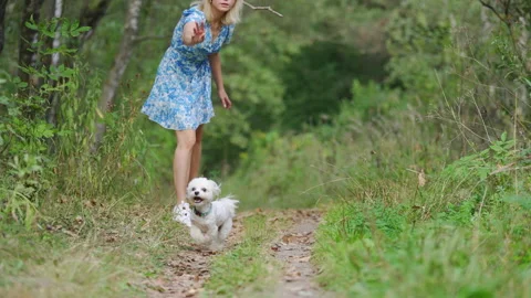Girl throws a stick to the dog in natural park of Town. Stock Footage 283502353