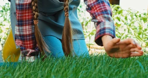 Girl is touching grass Video stock 85538902