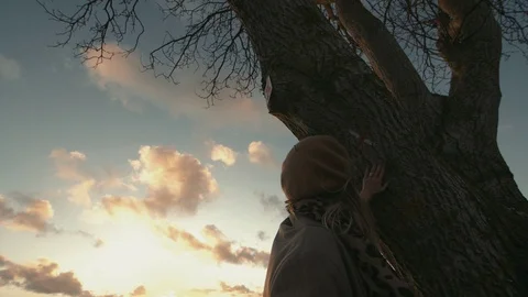 Girl touching tree in the sunset Stock Footage 112748496