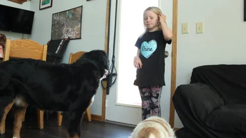 Girl Training Dog Stock Footage 130754540