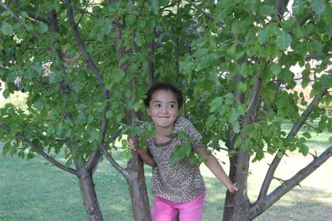 Girl in Tree Stock Photos