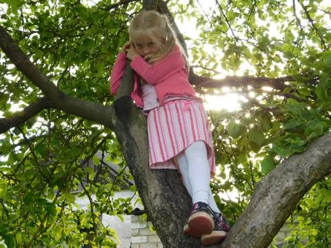 Girl on the tree Stock Photos
