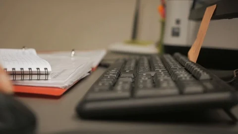 Girl typing on the computer keyboard Stock Footage 117863693