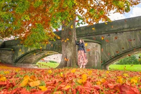 Girl under a tree with falling leaves Stock Photos