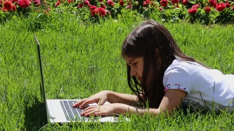 Girl using a laptop on a grass Stock Footage 65379163
