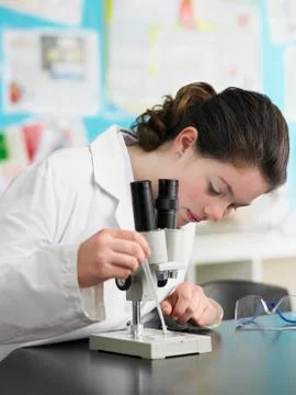 Girl Using Microscope In Laboratory Stock Photos