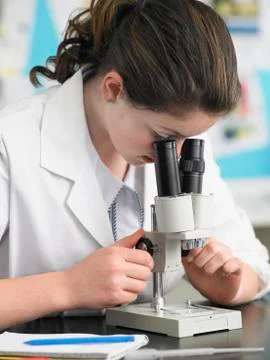 Girl Using Microscope In Laboratory Stock Photos