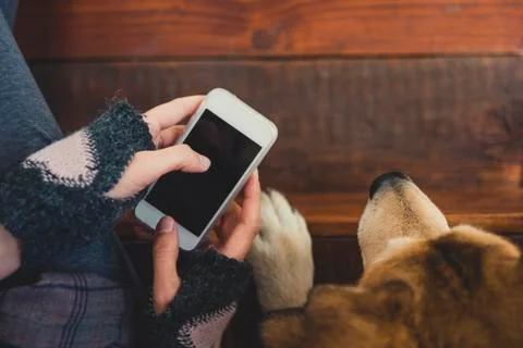 Girl using phone while sitting next to her dog Foto stock