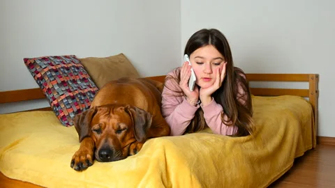 Girl using smartphone and talking lying on bed at home with pet dog. Stock Footage 147229369