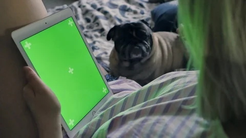 Girl is using tablet with green screen in horizontal mode,near cute dog Stock Footage 101429507