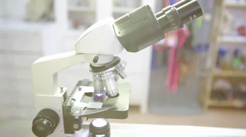 Girl at veterinary with microscope Stock Footage 62835375