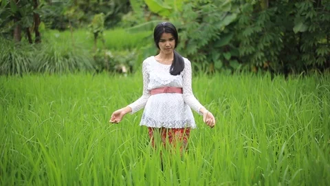 Girl Walk in the Rice Fields Stock Footage 125179657