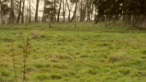 Girl walking alone Stock Footage 46016825