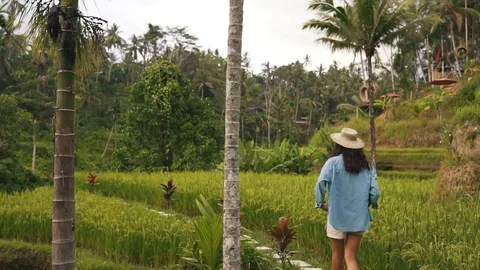 Girl walking among rice fields in Bali Stock Footage 129057678