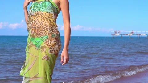 Girl walking on the beach Stock Footage 101320364