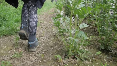Girl Walking on Country Path Stock Footage