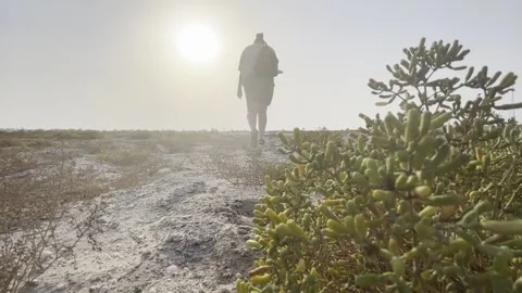 Girl walking in desert in sunset Stock Footage 246769819
