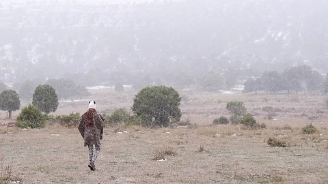 Girl walking during a snowfall Stock Footage 98304879