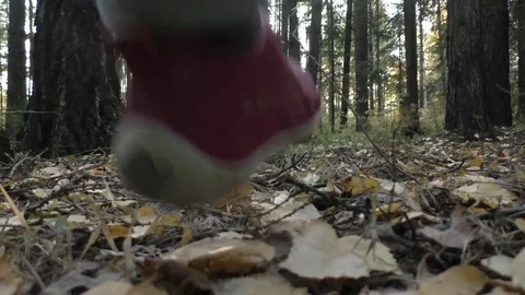 Girl walking in the forest Stock Footage 72015230