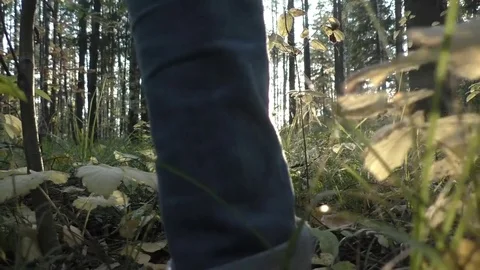 Girl walking in the forest Stock Footage 72015298