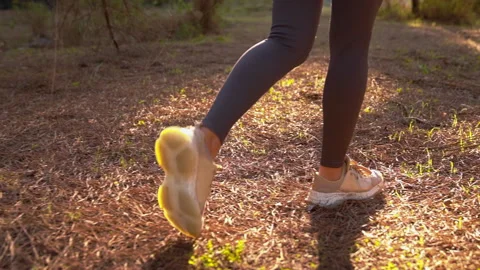 Girl walking in the forest Rays of the Sun Stock Footage 260806084