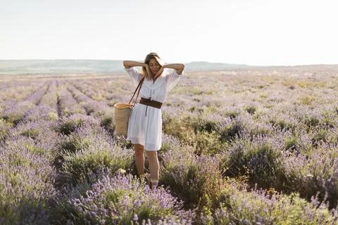 Girl walking in lavender fields, beautiful blooming lavender field Stock Photos