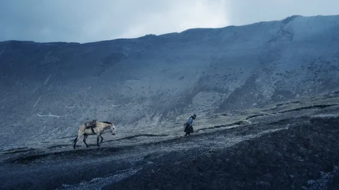 Girl walking up a mule Stock Footage 89704014