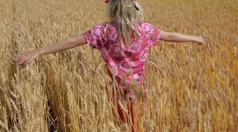 Girl walking through an Alberta wheatfield Видео 8664800