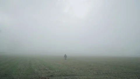 Girl walking through field surrounded by mist Video stock 168747389