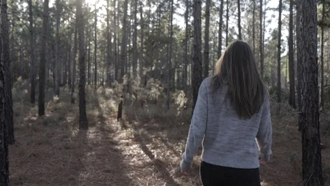 Girl Walking Through Pine Forest at Sunset, Steadicam, Slow Motion Stock Footage 90465556