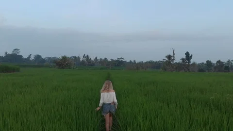 Girl walking through rice fields in Bali Stock Footage 107871942