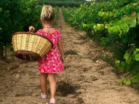 Girl walking vineyard basket red dress caucasian blonde kid nature Stock Photos