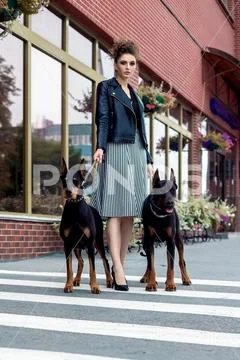 A girl walks along the street in the city along the building with two Doberma Stock Photos