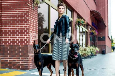 A girl walks along the street in the city along the building with two Doberma Stock Photos
