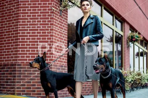 A girl walks along the street in the city along the building with two Doberma Stock Photos