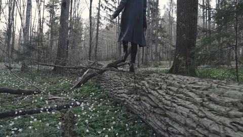 Girl walks on the fallen tree Stock Footage 80002832