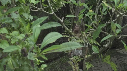 Girl Walks on Path Through Trees in Bali Stock Footage 106073464