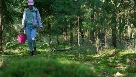 The girl walks through the forest Stock Footage 287998675