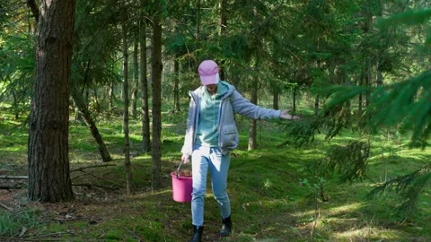 The girl walks through the forest Stock Footage 287998680
