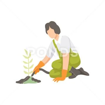 Girl watering seedlings with a hose, people working in the garden, worker Stock Illustration