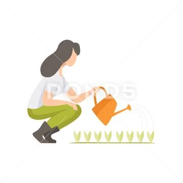 Girl watering seedlings with a watering can, woman working in the garden, worker Stock Illustration