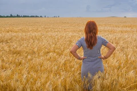 Girl in a wheat field Stock Photos